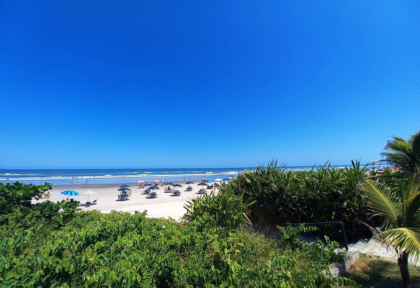 WhatsApp Image 2022-03-02 at 11.35.20.jpeg